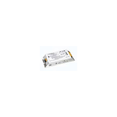 Image d'une ballast 40-100W.