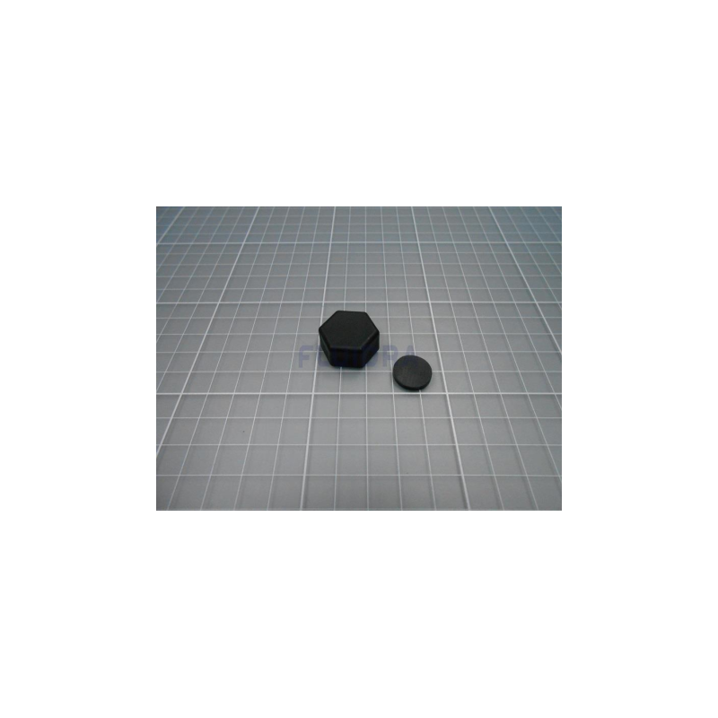 Image du bouchon de purge de la pompe Victoria Silent Plus.