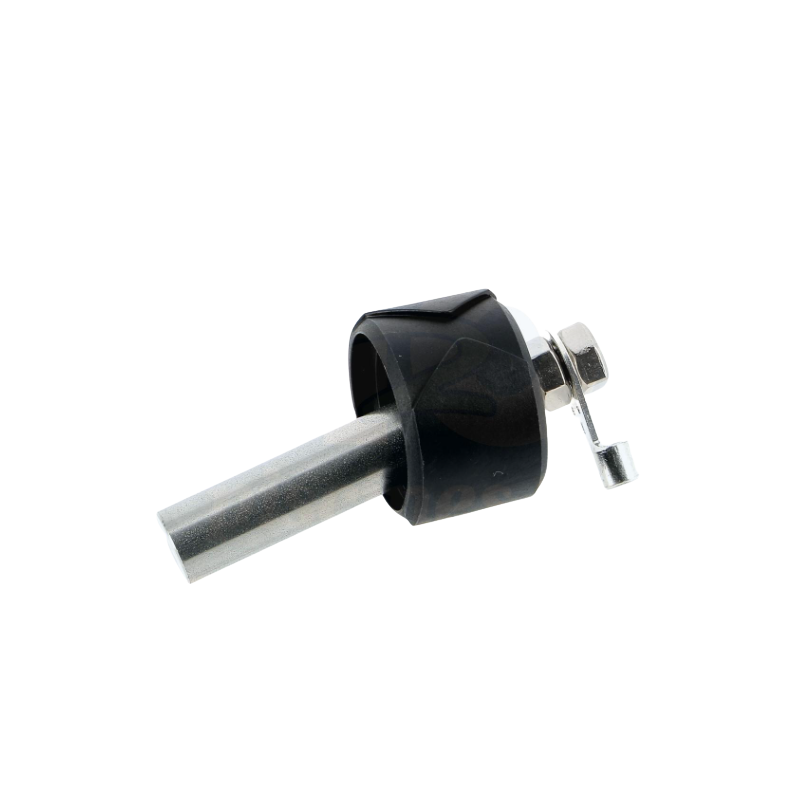 Image de l'électrode Pool Terre avant 2021.