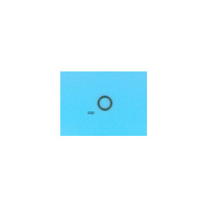 Image du joint torique.