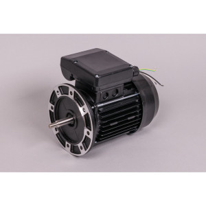 Moteur monophasé 1 CV