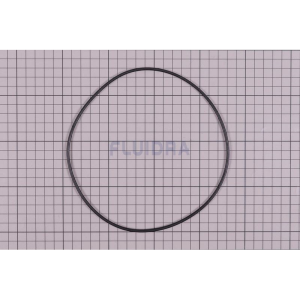 Joint torique 170,7 x 3,3