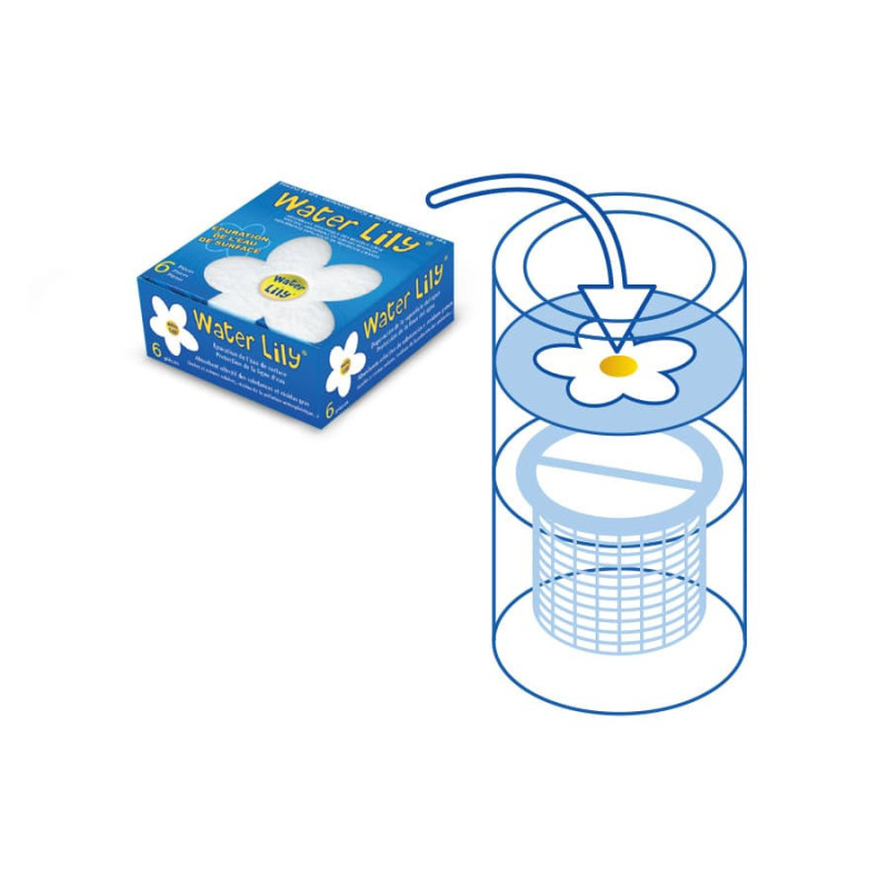 Installation fleur Water Lily Toucan