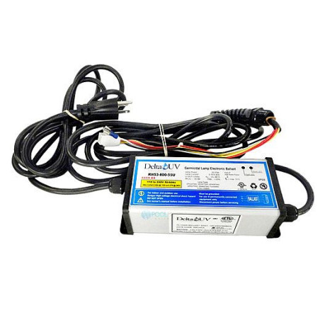 Assemblage ballast