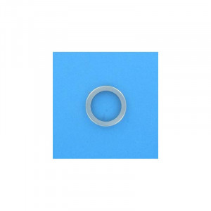 Image d'un anneau métallique pour pompe de filtration Europa.